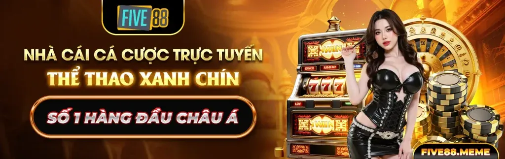 Chính sách cá cược có trách nhiệm của mv666